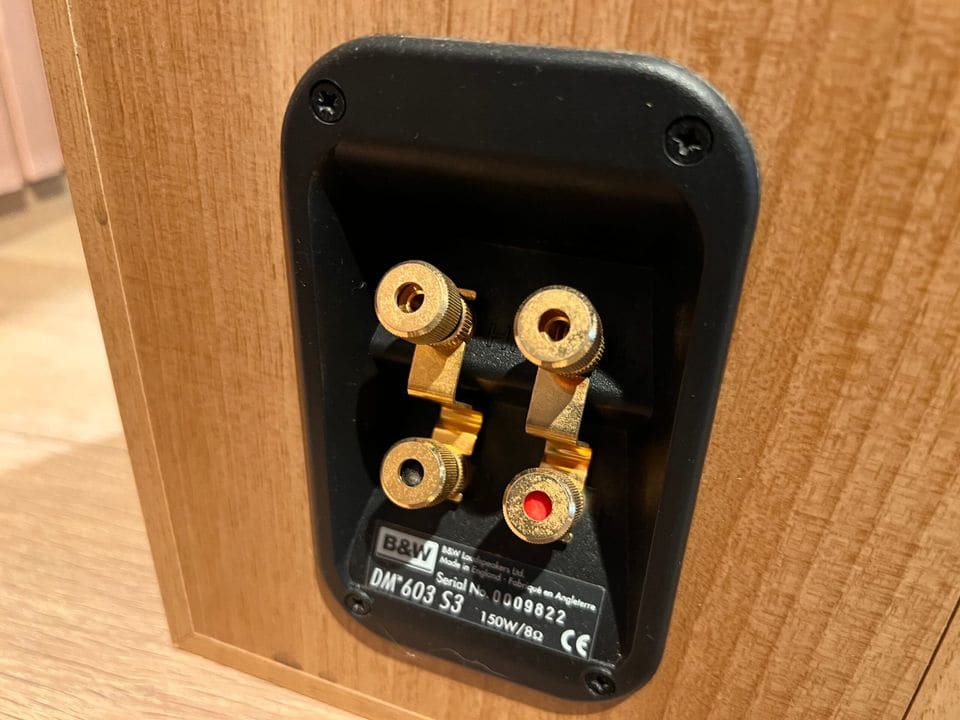 Vergulde bi-wire luidsprekerklemmen met typeplaatje DM603 S3 op de achterkant