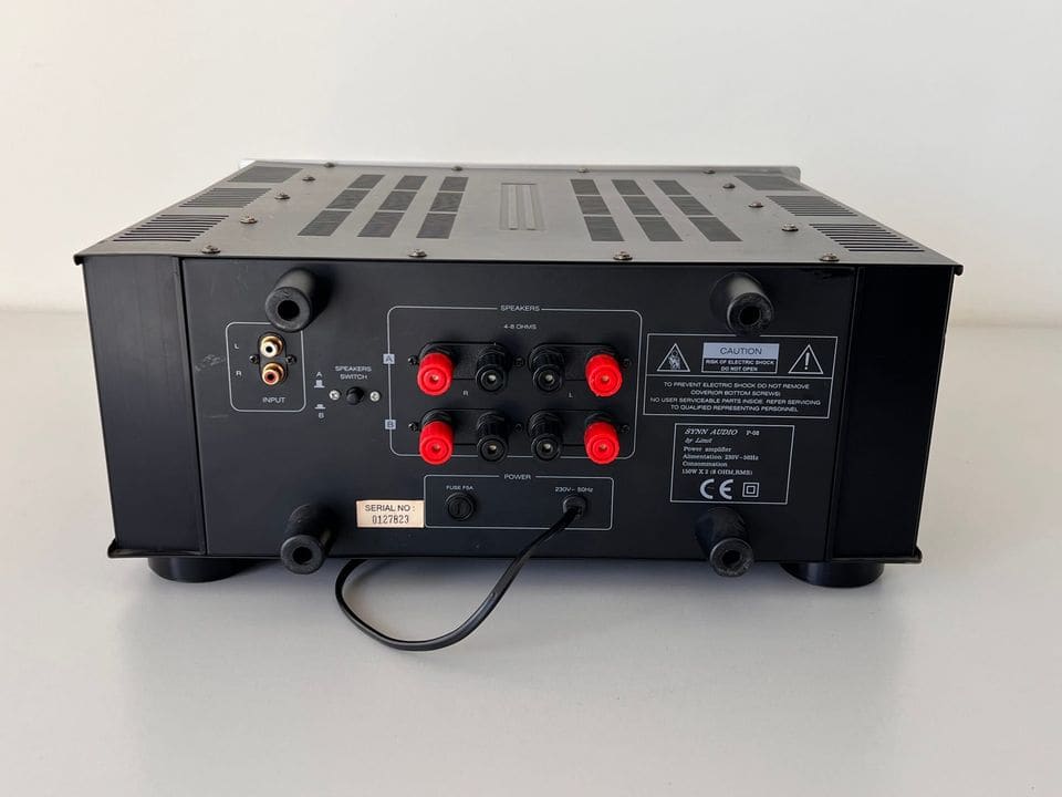 Achterkant van de SYNN P-08 met RCA-ingangen en rode en zwarte luidsprekerterminals