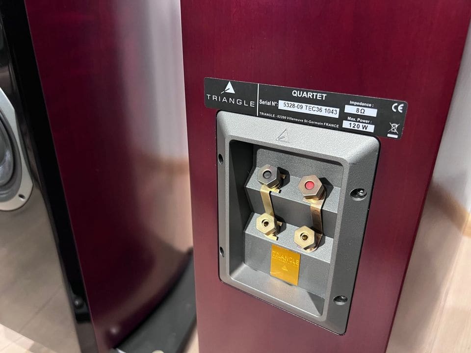 Achterkant van de Triangle Quartet met typeplaatje en bi-wire luidsprekerklemmen met brugjes